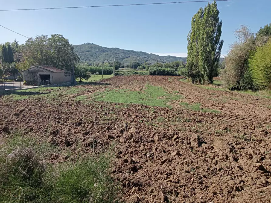 Immagine 1 di Terreno in vendita  in Via Santa Maria a Castiglione Del Lago