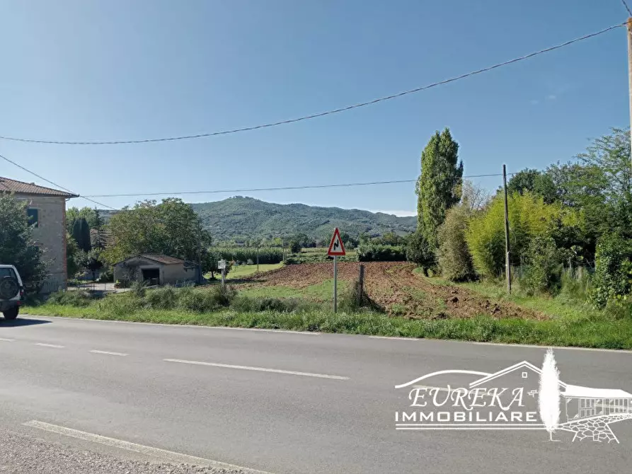 Immagine 2 di Terreno in vendita  in Via Santa Maria a Castiglione Del Lago