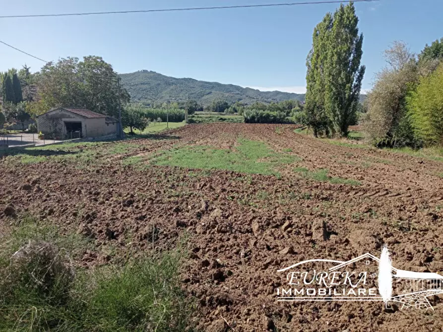 Immagine 3 di Terreno in vendita  in Via Santa Maria a Castiglione Del Lago