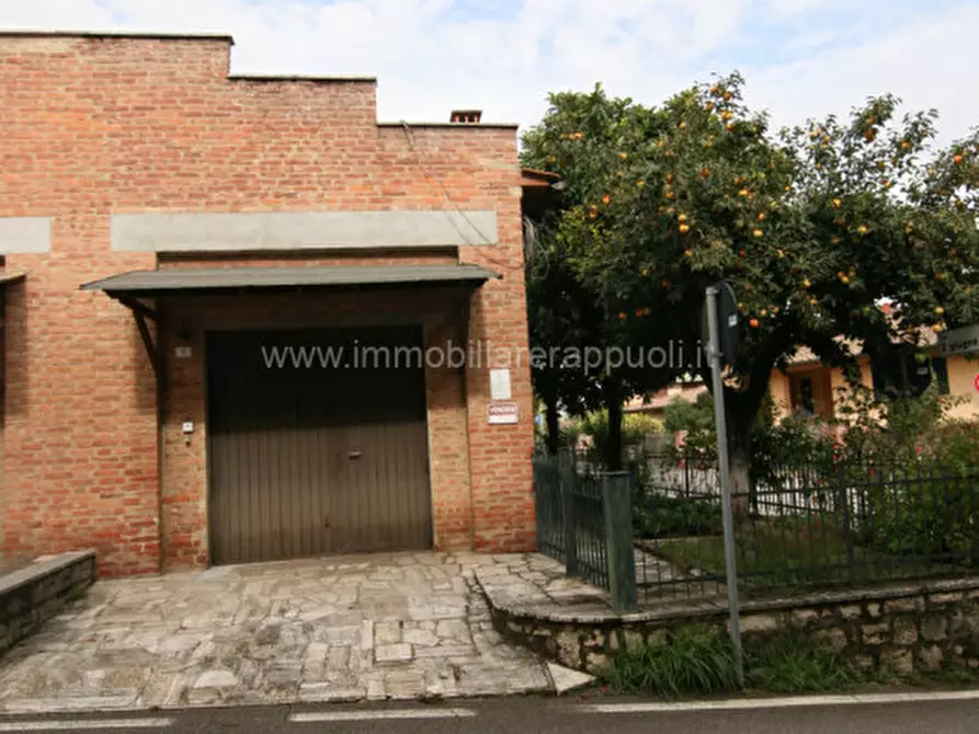 Immagine 2 di Villetta a schiera in vendita  a Sinalunga