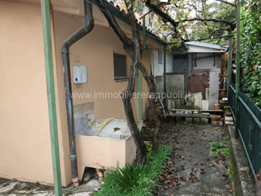 Immagine 6 di Villetta a schiera in vendita  a Sinalunga