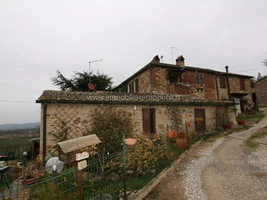 Immagine 16 di Appartamento in vendita  a Sinalunga