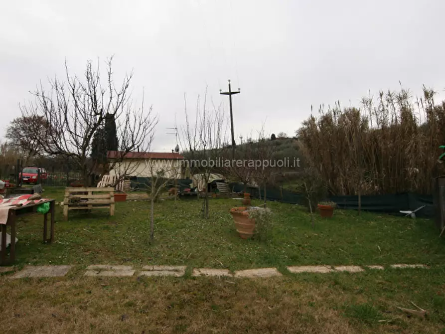 Immagine 18 di Appartamento in vendita  a Sinalunga