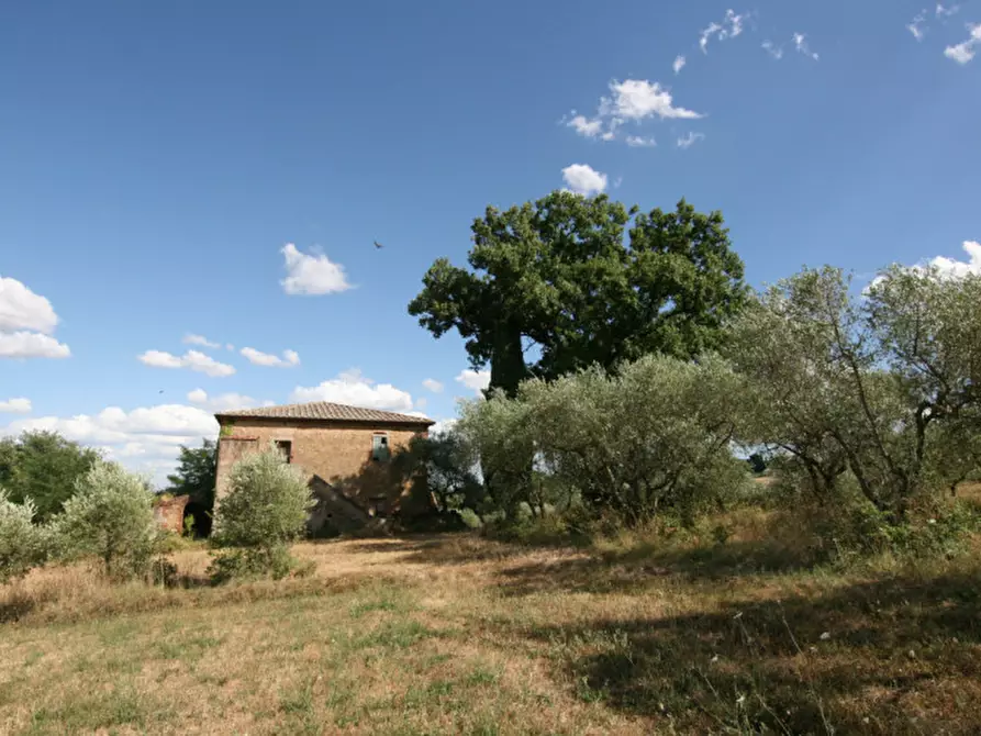 Immagine 2 di Rustico / casale in vendita  a Torrita Di Siena