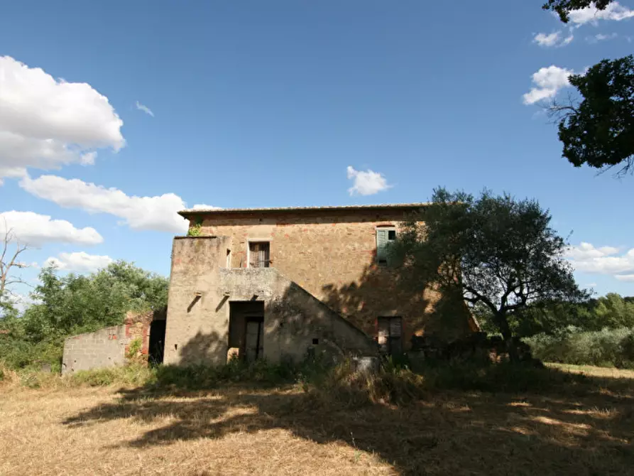 Immagine 3 di Rustico / casale in vendita  a Torrita Di Siena