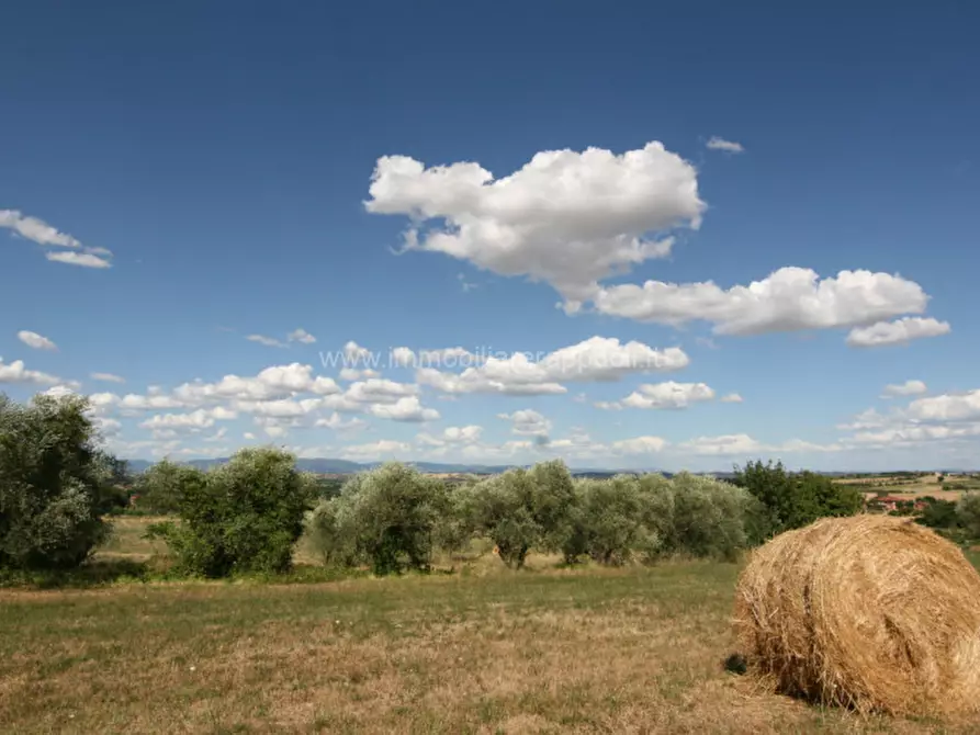 Immagine 7 di Rustico / casale in vendita  a Torrita Di Siena
