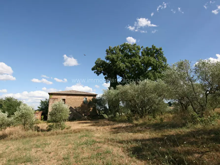 Immagine 10 di Rustico / casale in vendita  a Torrita Di Siena