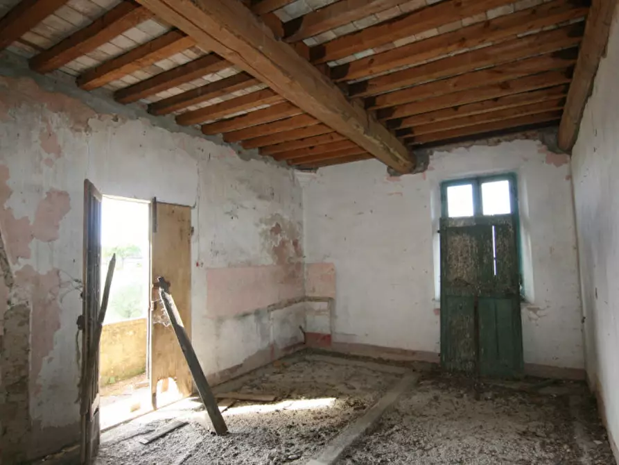 Immagine 10 di Rustico / casale in vendita  a Torrita Di Siena