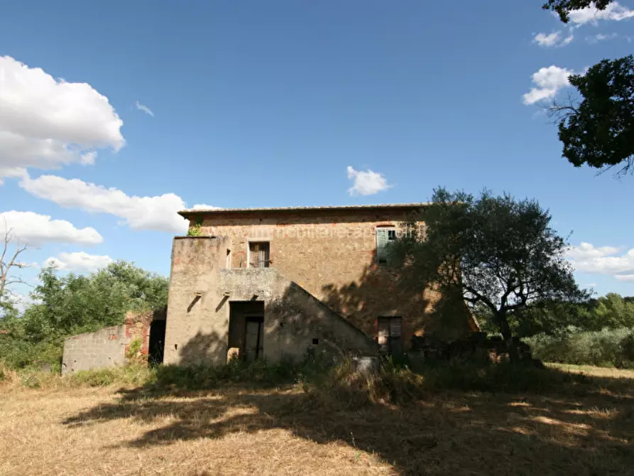 Immagine 11 di Rustico / casale in vendita  a Torrita Di Siena