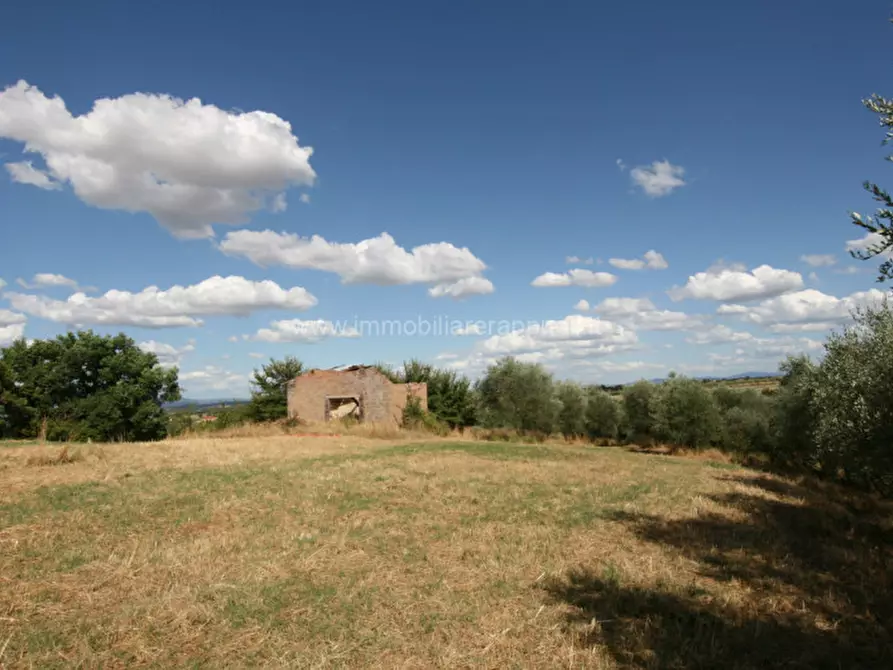 Immagine 13 di Rustico / casale in vendita  a Torrita Di Siena