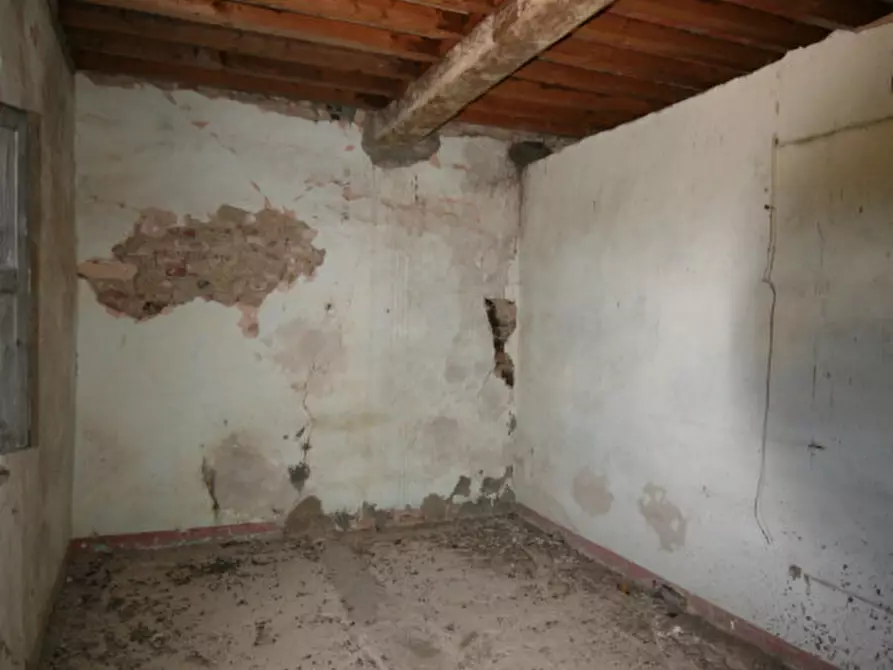 Immagine 16 di Rustico / casale in vendita  a Torrita Di Siena