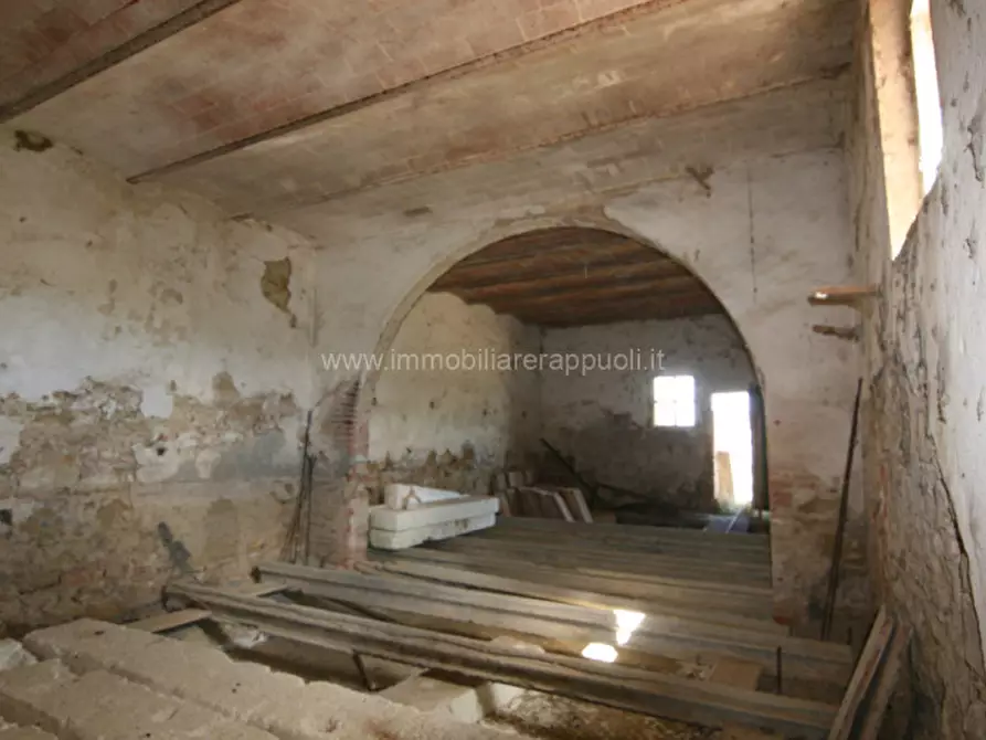 Immagine 17 di Rustico / casale in vendita  a Torrita Di Siena