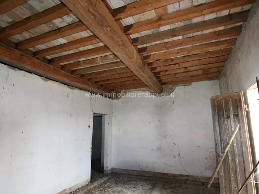 Immagine 18 di Rustico / casale in vendita  a Torrita Di Siena