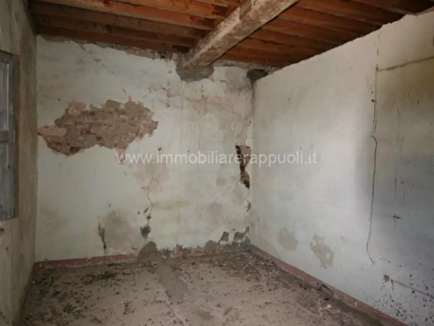 Immagine 27 di Rustico / casale in vendita  a Torrita Di Siena