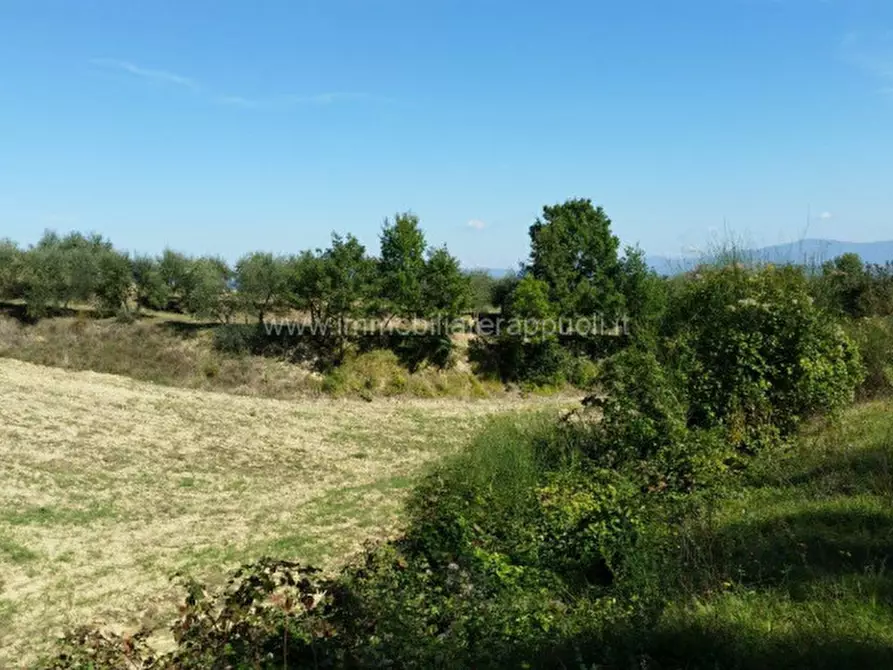 Immagine 43 di Rustico / casale in vendita  a Torrita Di Siena