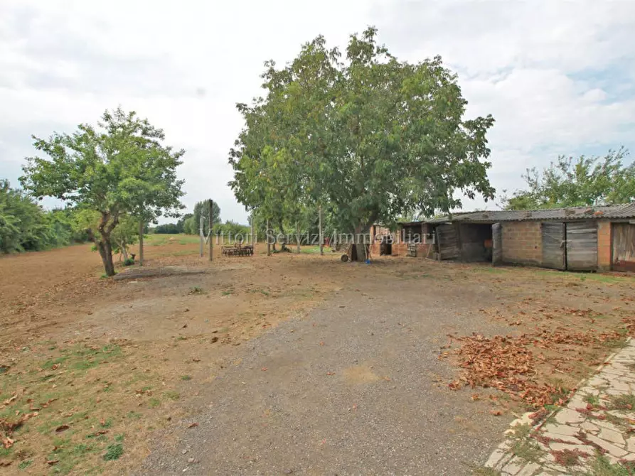 Immagine 4 di Casa indipendente in vendita  in santarello a Sinalunga