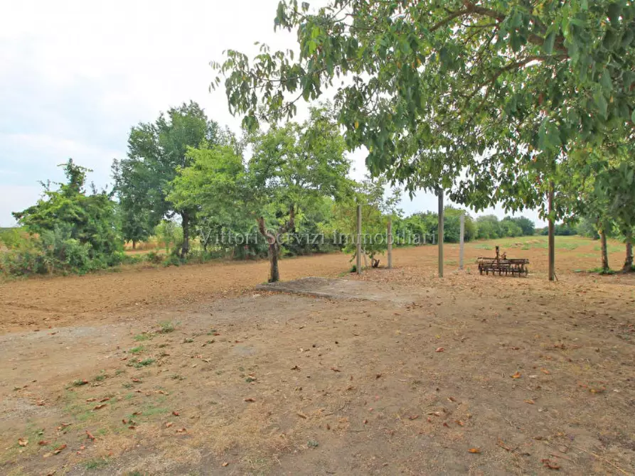 Immagine 6 di Casa indipendente in vendita  in santarello a Sinalunga