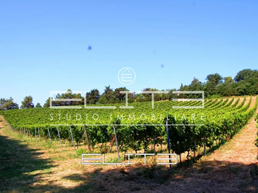 Immagine 14 di Villa in vendita  in VIA DEL CONERO a Ancona