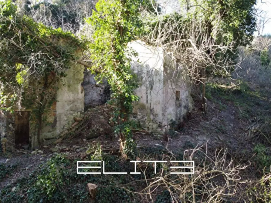 Immagine 4 di Rustico / casale in vendita  in SIROLO a Sirolo