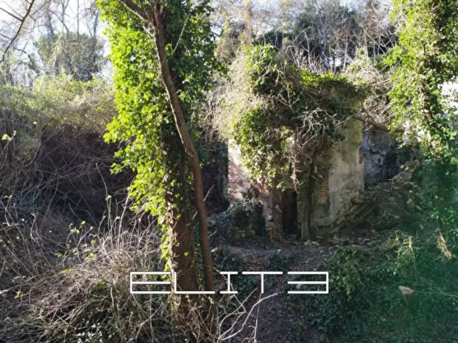 Immagine 5 di Rustico / casale in vendita  in SIROLO a Sirolo