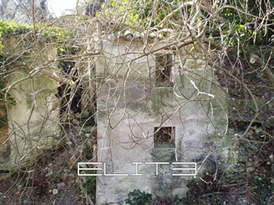 Immagine 6 di Rustico / casale in vendita  in SIROLO a Sirolo