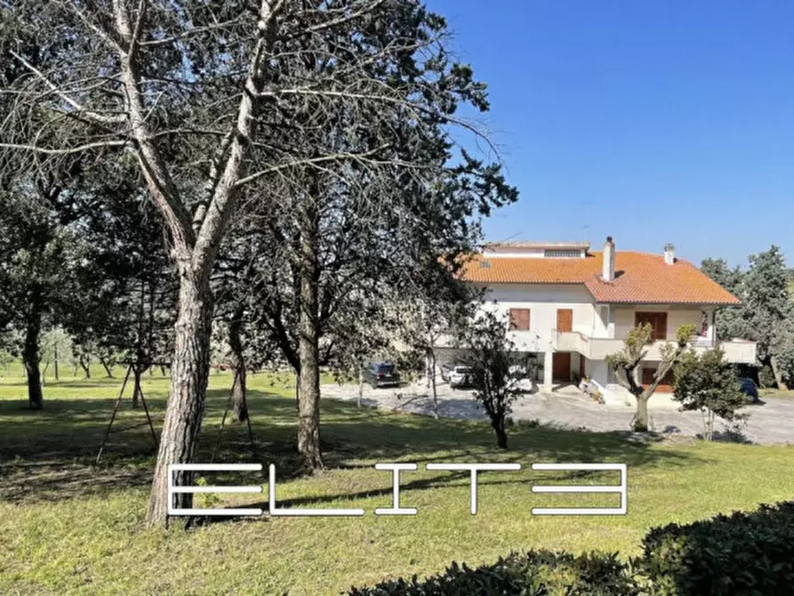 Immagine 3 di Appartamento in vendita  in POLVERIGI a Polverigi