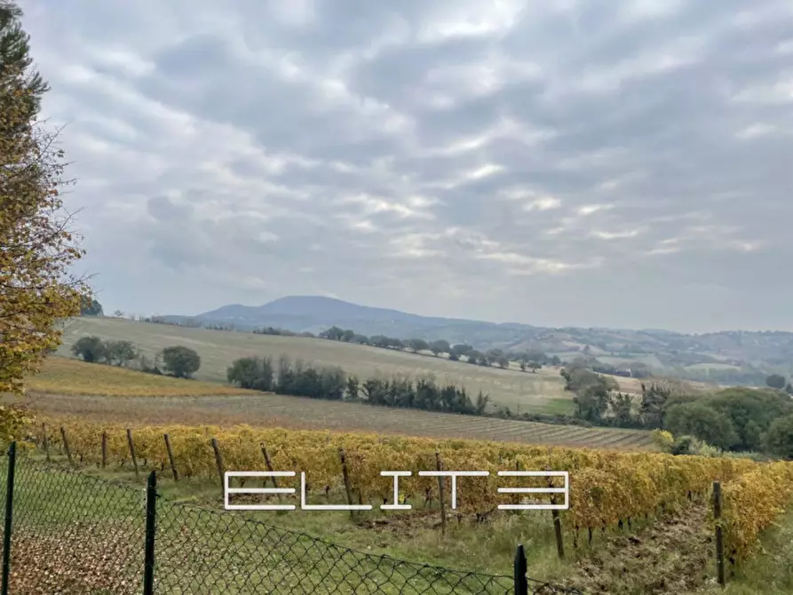 Immagine 9 di Casa indipendente in vendita  in Angeli di Varano, a Ancona