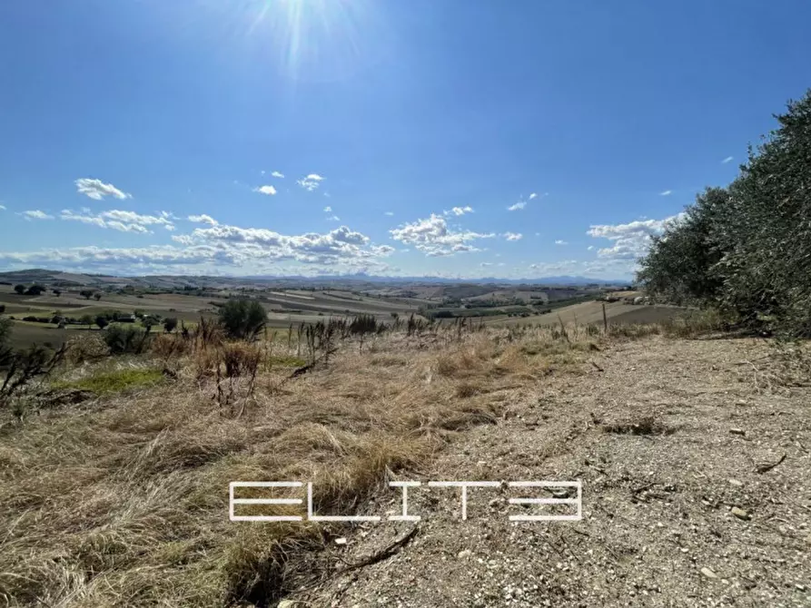 Immagine 3 di Casa indipendente in vendita  a Agugliano