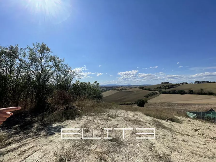 Immagine 4 di Casa indipendente in vendita  a Agugliano