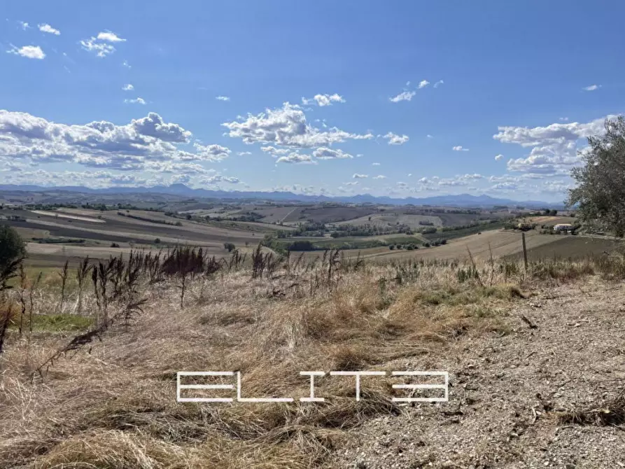 Immagine 5 di Casa indipendente in vendita  a Agugliano