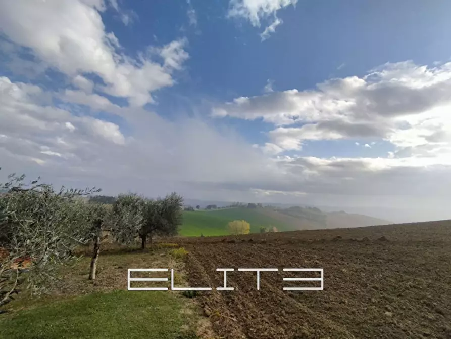 Immagine 4 di Rustico / casale in vendita  a Recanati