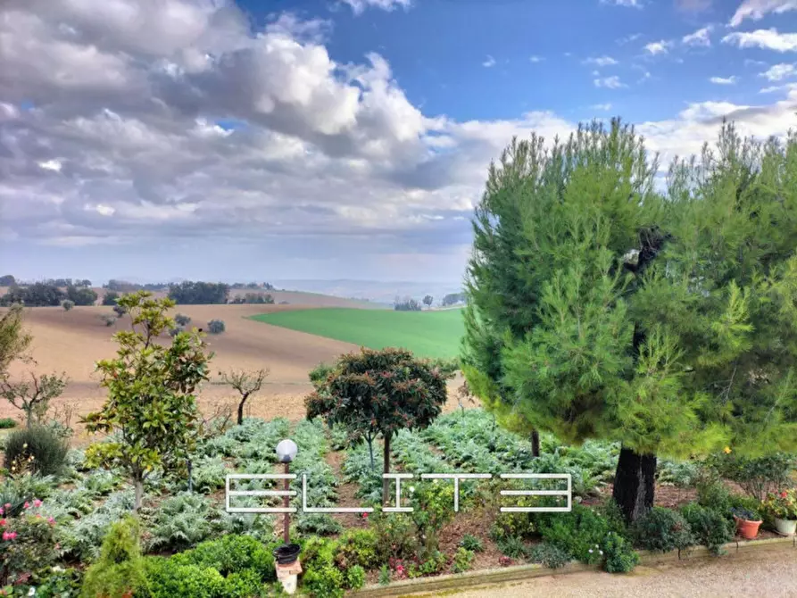 Immagine 6 di Rustico / casale in vendita  a Recanati