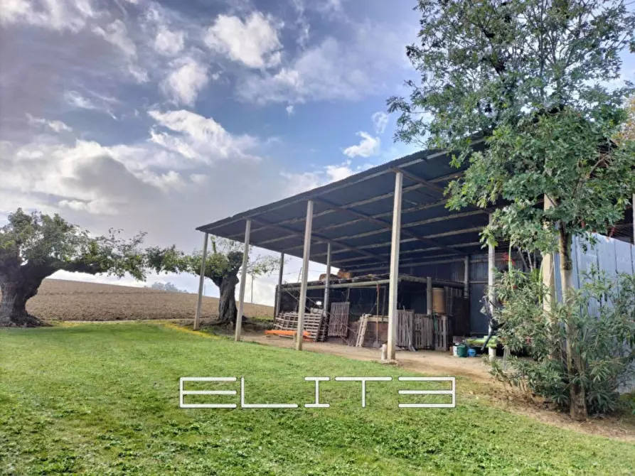 Immagine 9 di Rustico / casale in vendita  a Recanati
