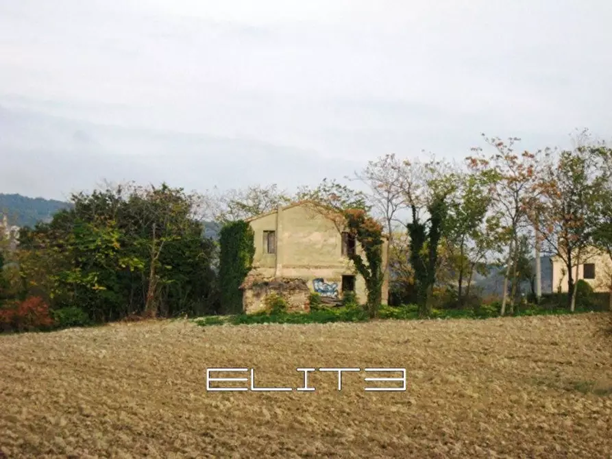 Immagine 4 di Rustico / casale in vendita  in DALMAZIA a Camerano