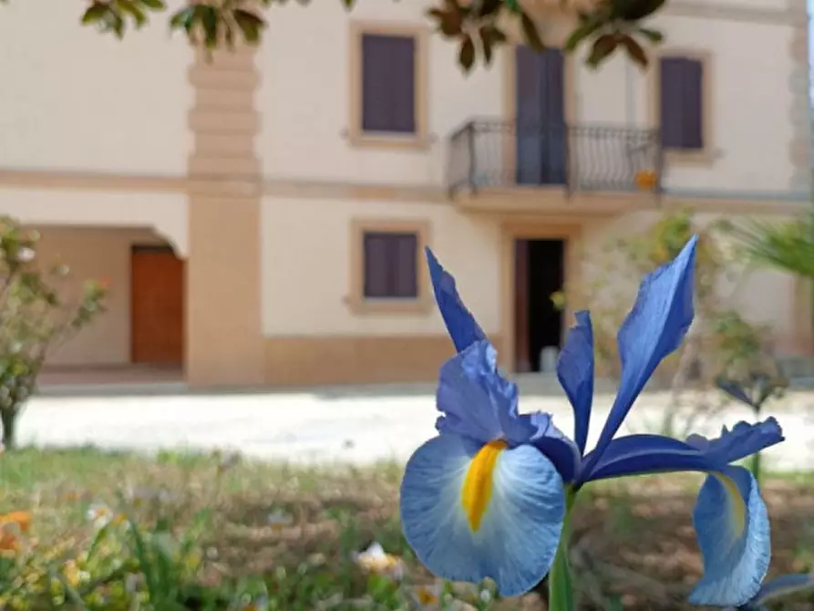 Immagine 2 di Casa indipendente in vendita  in SAN BIAGIO a Osimo