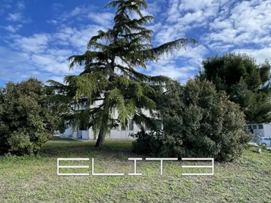 Immagine 2 di Casa indipendente in vendita  a Osimo