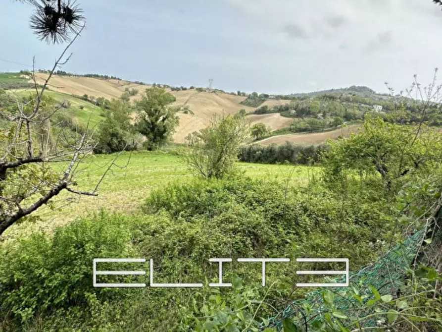 Immagine 2 di Casa indipendente in vendita  in via saffi a Agugliano