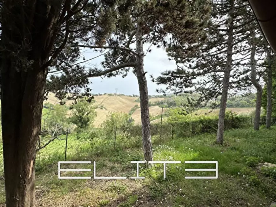 Immagine 3 di Casa indipendente in vendita  in via saffi a Agugliano