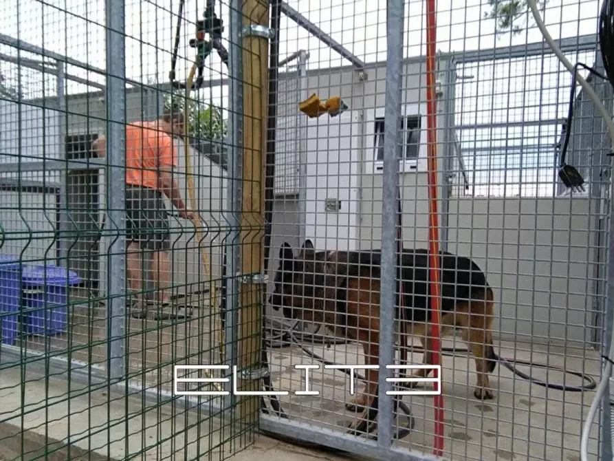 Immagine 24 di Casa indipendente in vendita  in sappanico a Ancona