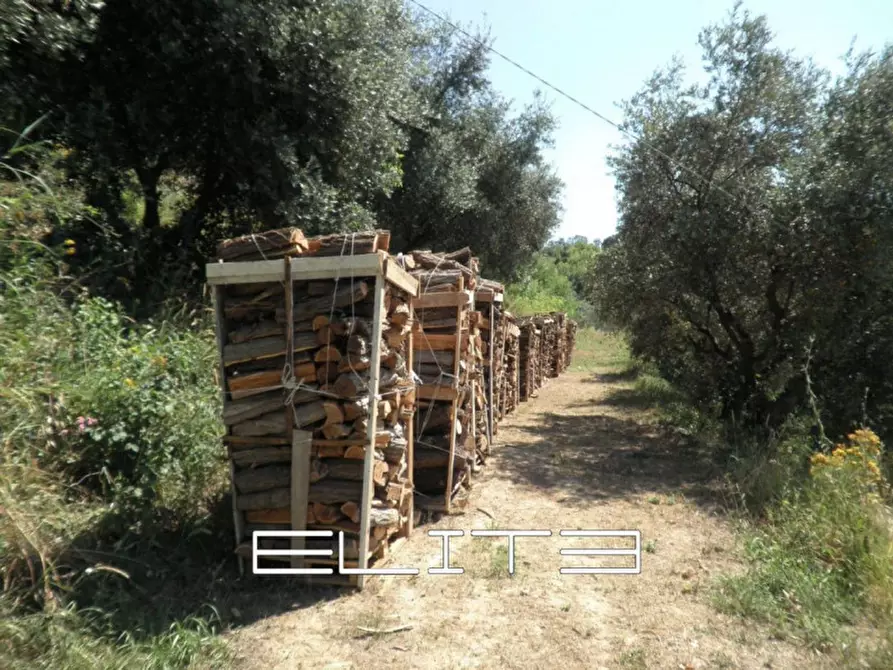 Immagine 30 di Casa indipendente in vendita  in sappanico a Ancona