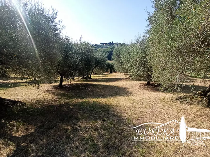 Immagine 9 di Terreno in vendita  in Casamaggiore a Castiglione Del Lago