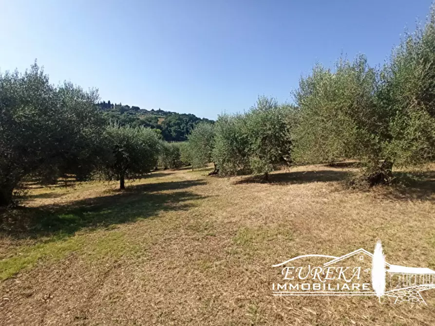 Immagine 11 di Terreno in vendita  in Casamaggiore a Castiglione Del Lago