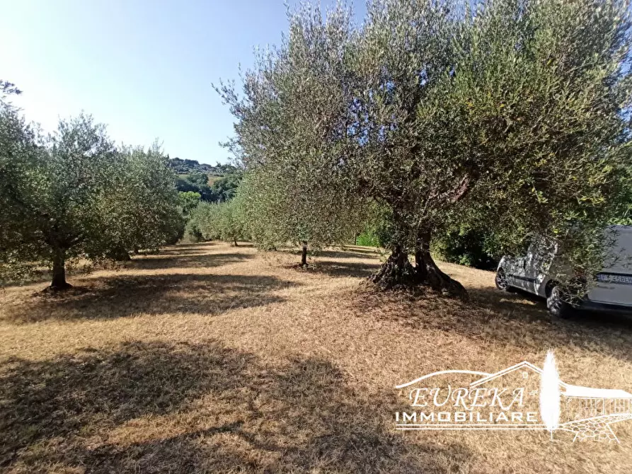 Immagine 12 di Terreno in vendita  in Casamaggiore a Castiglione Del Lago