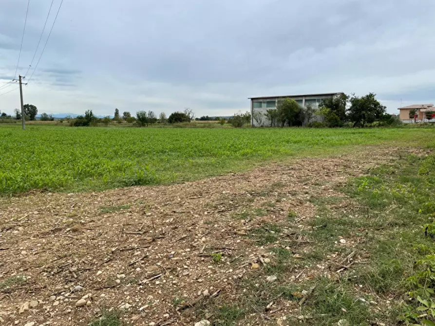 Immagine 3 di Terreno in vendita  in via sacca a Montichiari