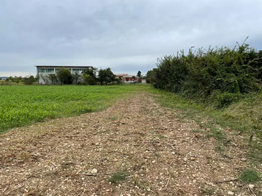 Immagine 4 di Terreno in vendita  in via sacca a Montichiari