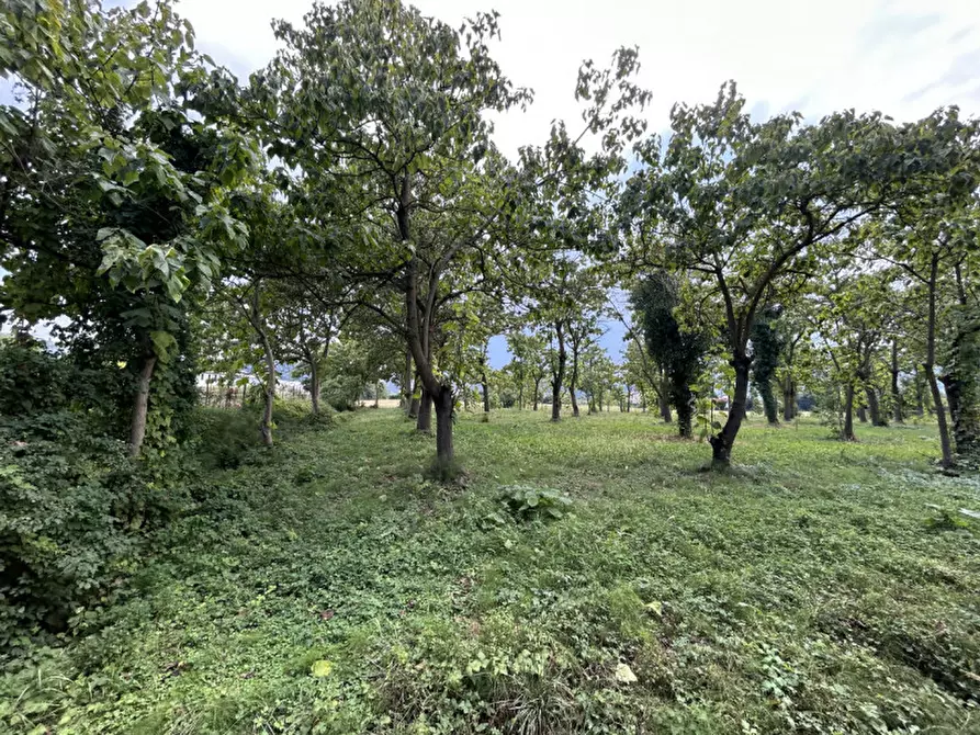 Immagine 1 di Terreno in vendita  in via Monte Venda a Torreglia