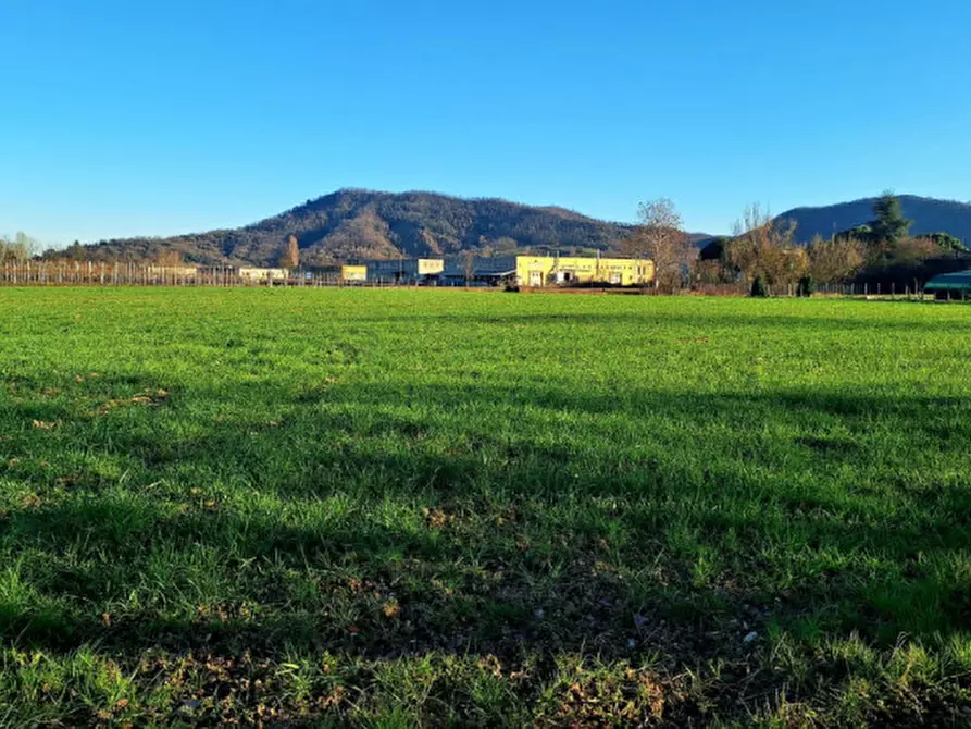 Immagine 2 di Terreno in vendita  in via Monte Venda a Torreglia