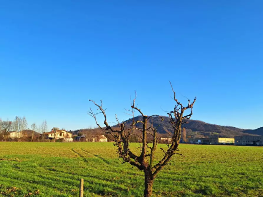 Immagine 3 di Terreno in vendita  in via Monte Venda a Torreglia
