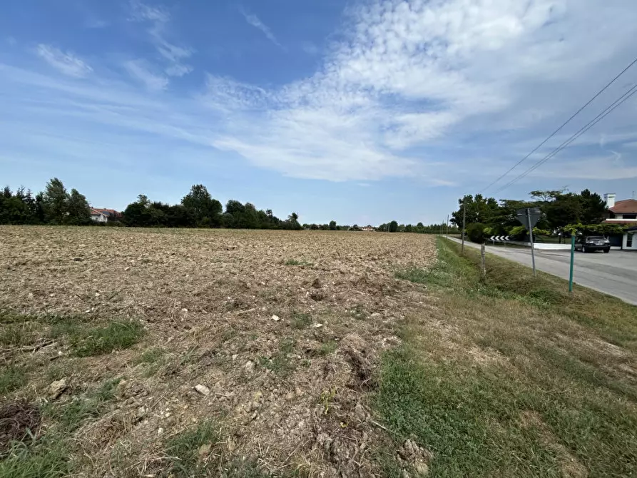 Immagine 9 di Terreno in vendita  in via Monte Venda a Torreglia