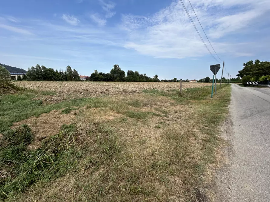 Immagine 11 di Terreno in vendita  in via Monte Venda a Torreglia